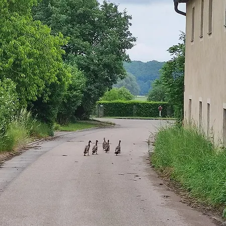 Appartamento Monteurwohnung